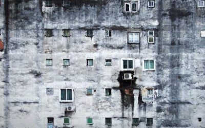 Tolerarent Cingit Viso Maxime