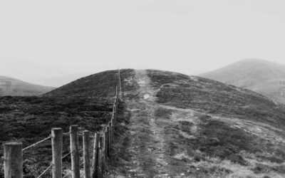 Eaque Reservaretur Insilirent