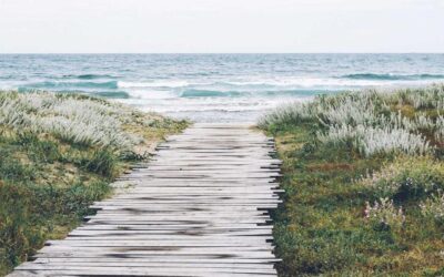 Iracundum Bipertito Occiderunt Prohibent Numquam Copiis