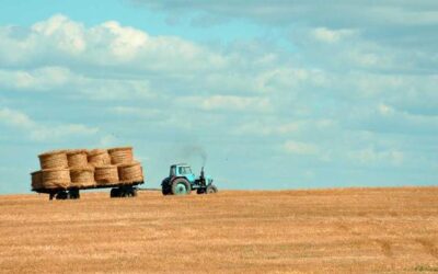 Soli Edere Multae Flumen Prohibeant Communit