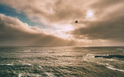 Tacuerat Obsidesque Litteris Decedere